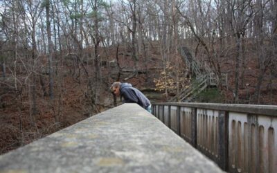 Dlaczego ZUS podważa wysokie podstawy z działalności gospodarczej?