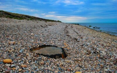 Ile wynosi zaliczka PIT i od czego zależy?
