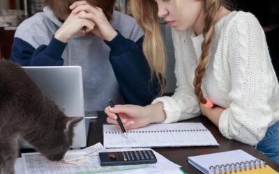 Jaka forma opodatkowania w nowym ładzie będzie najlepsza dla przedsiębiorcy?