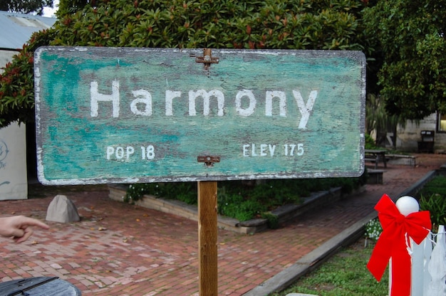 Od czego zależy ile wynosi płaca netto?