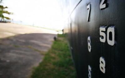 Pit 36 co to za pit i kto musi go wypełnić?