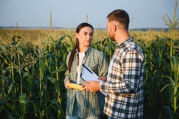 Czy na rencie można prowadzić działalność gospodarczą?