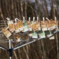 1700 euro brutto ile to netto w Niemczech?
