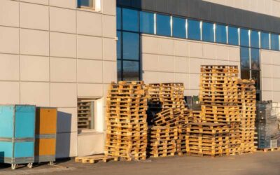 Magazynowanie paletowe w Szczecinie. Kiedy mała firma powinna oddać towar do magazynu